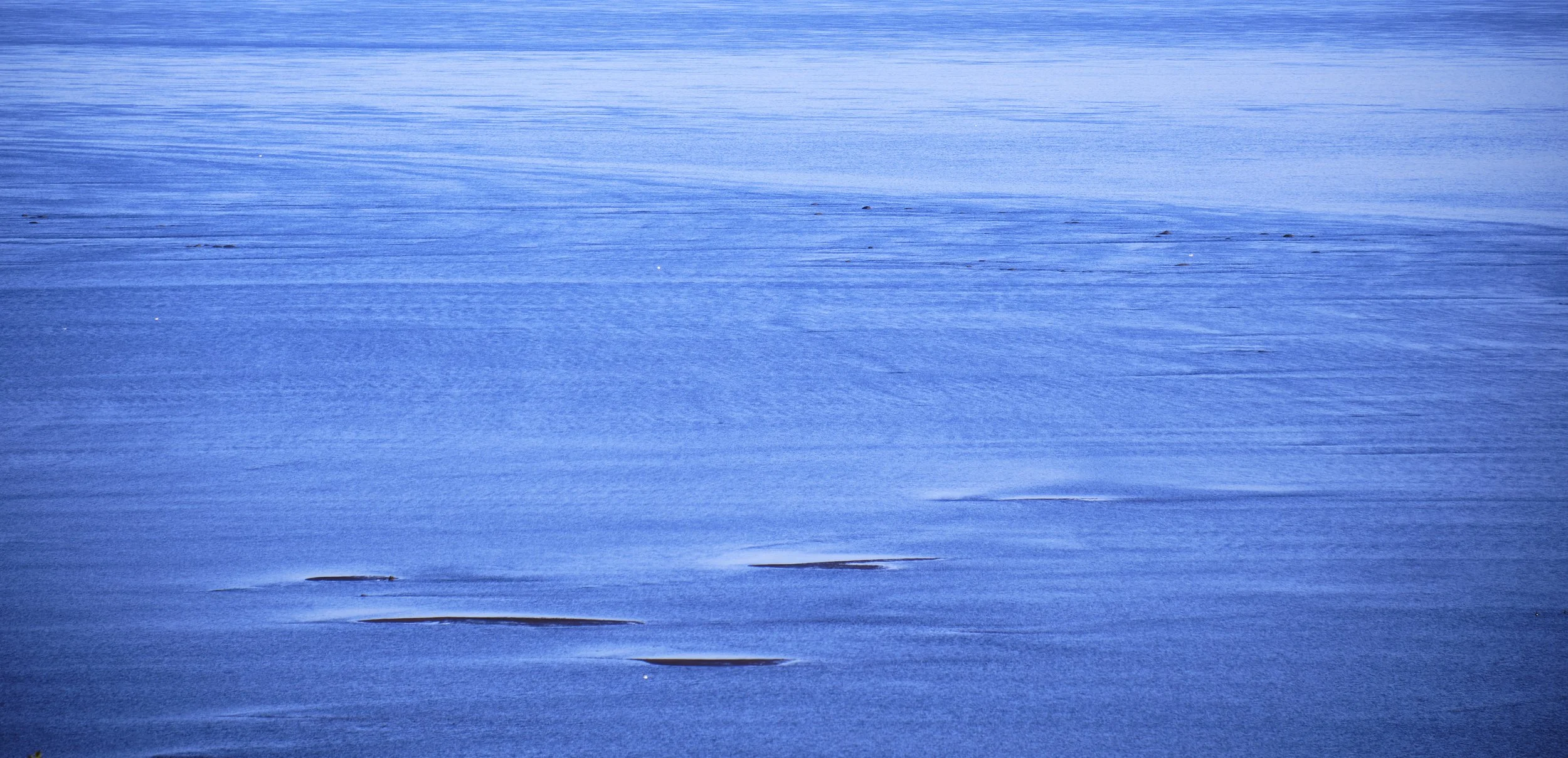 fleuve_DSF3119 1.jpg
