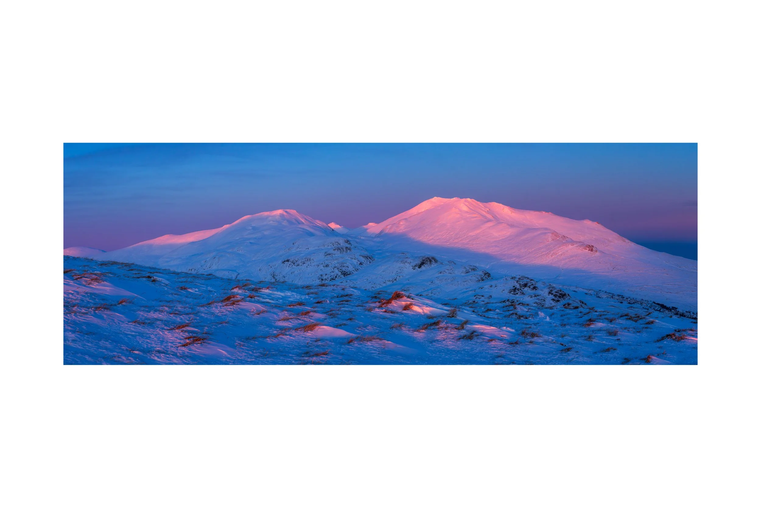 Ben Lawers - Pink Snow and Glowing Grasses NOTEXT.jpg