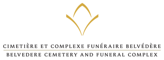 BVD_Wordmark_logo.png