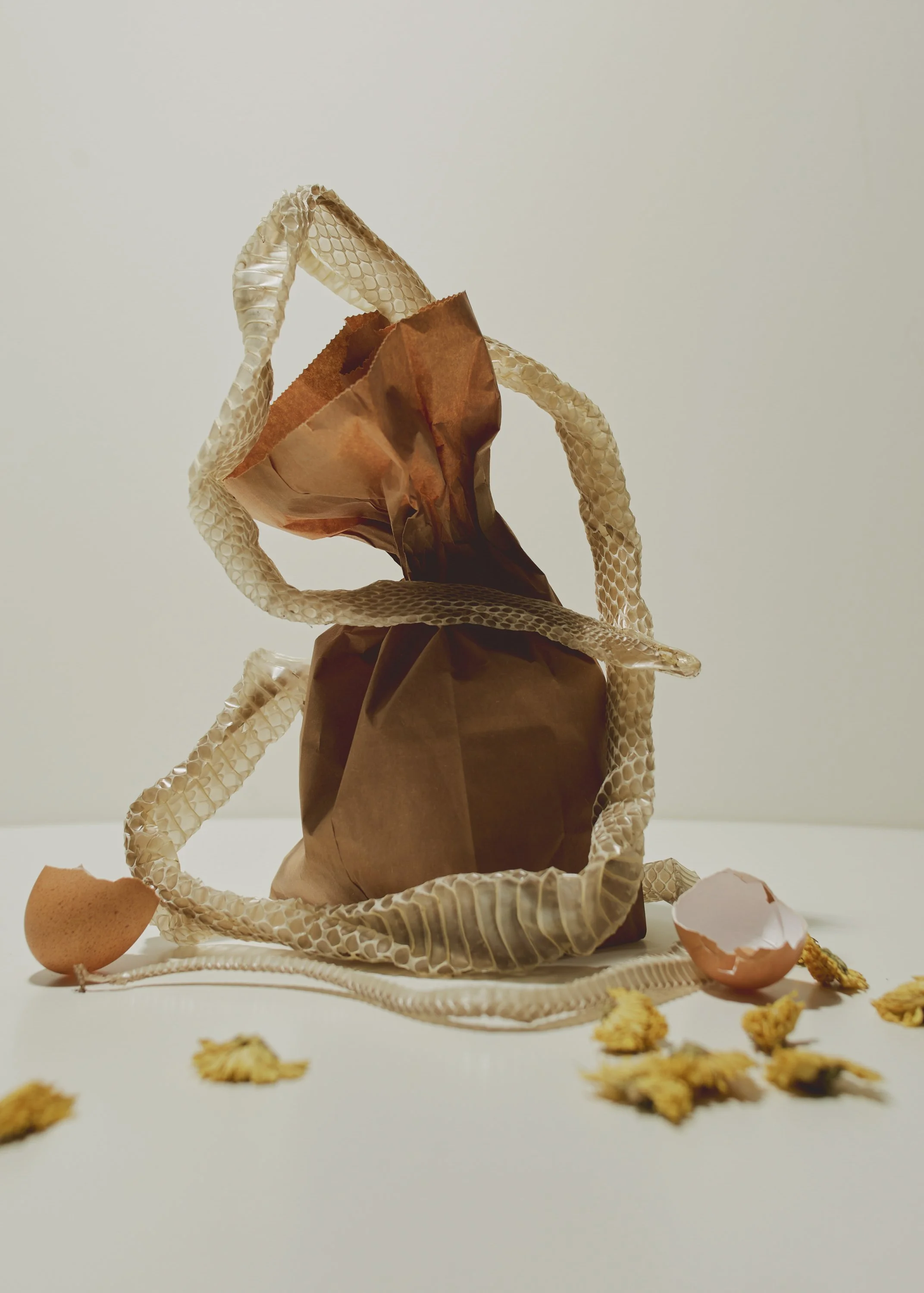 211027_sarahprice0003 1_hra.JPG