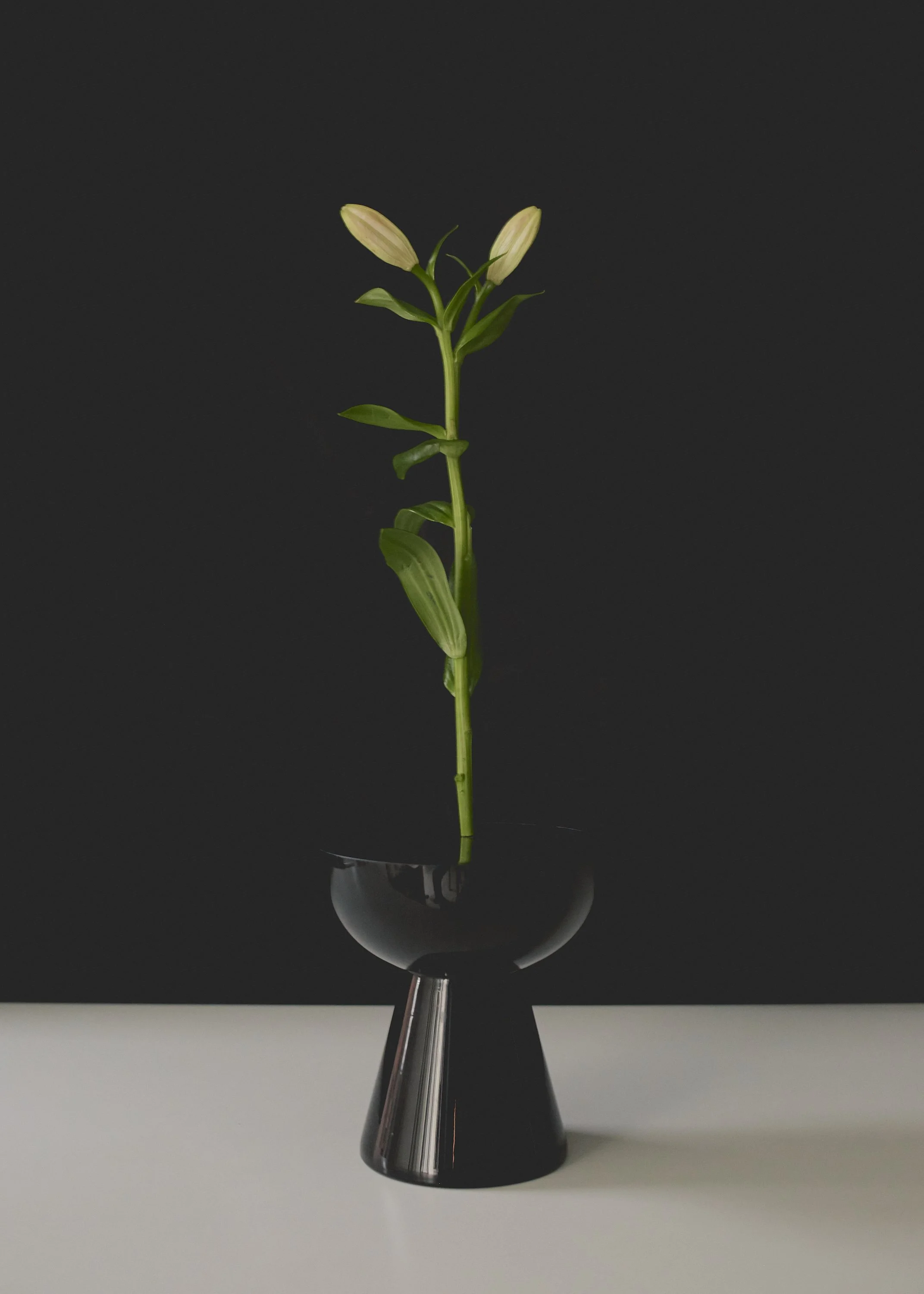 211027_SarahPrice0201 1_HRs.JPG