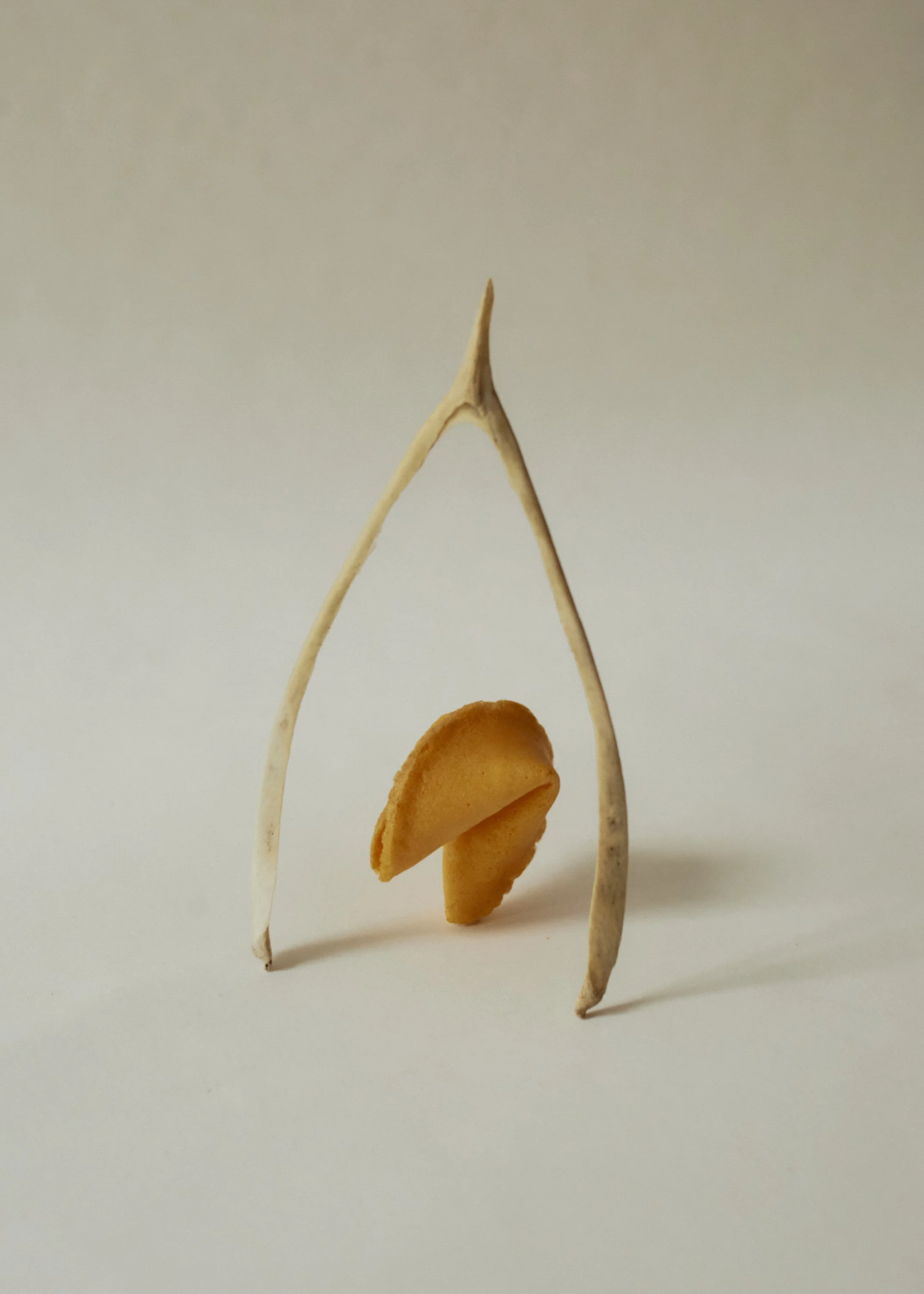 211027_SarahPrice0046 1_HRj.JPG