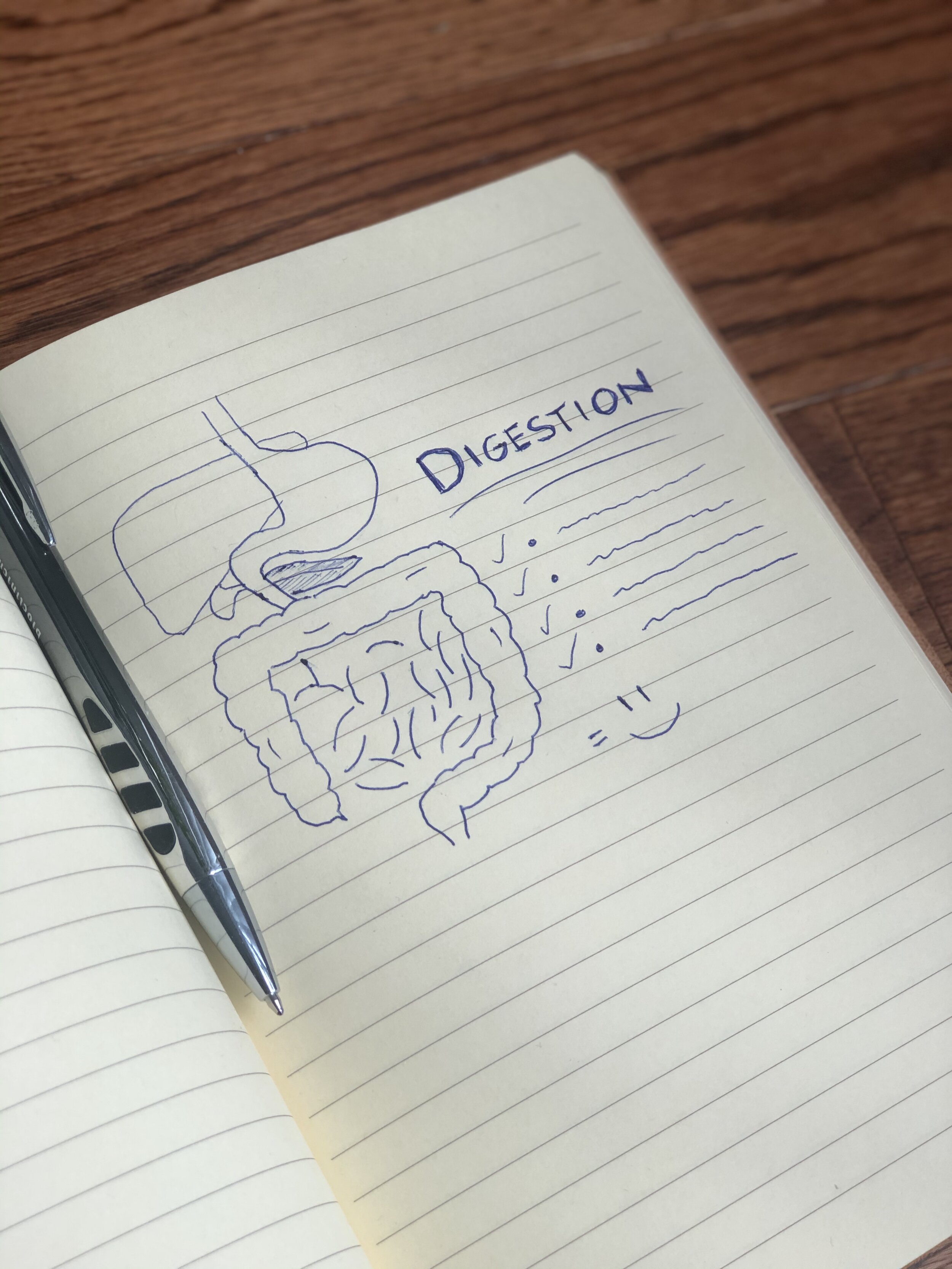 Top Supplements for Digestive Health