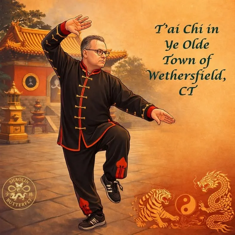 T'ai Chi For Seniors 