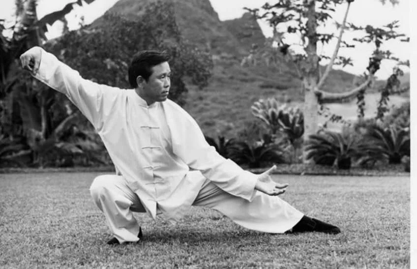 Man practicing Tai Chi outdoors on grass with trees and hills in background