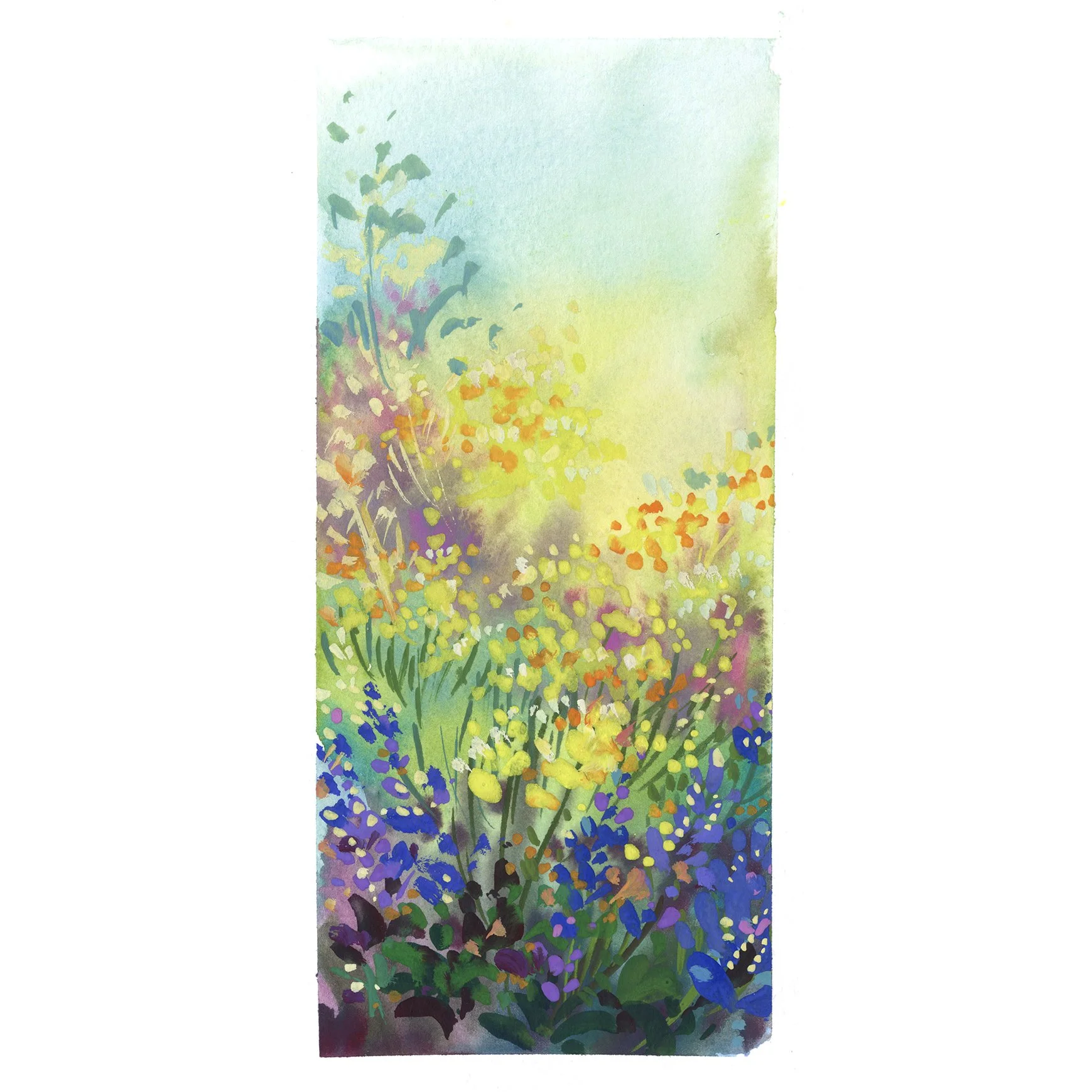 Spring Wildflowers
