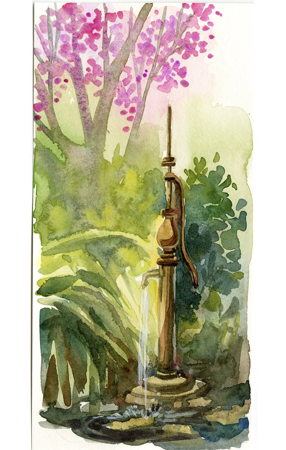 Fountain, Cambria, CA