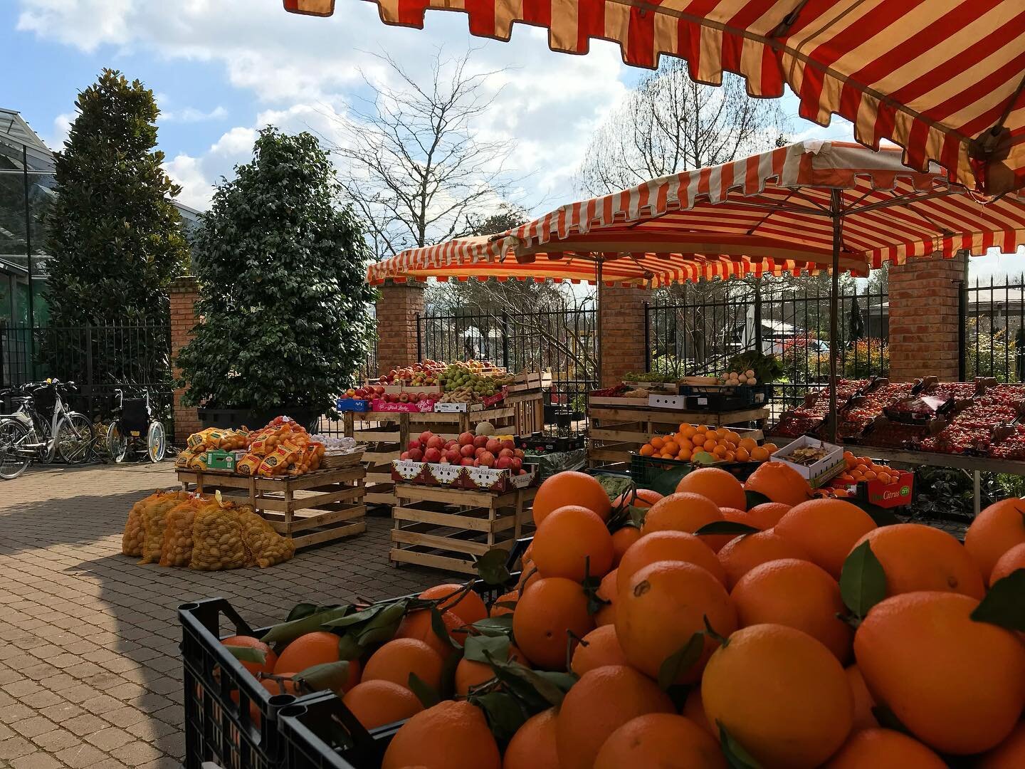 Unser Marktstand vor der @baumschulehuben geht in die Winterpause. Wir bedanken uns f&uuml;r eure Treue 🥰 ! Mit t&auml;glich frischen Produkten findet ihr uns in der Haupstrasse 58 in Ladenburg. Wir freuen uns auf euch 😌 #ladenburg #frisch #regiona