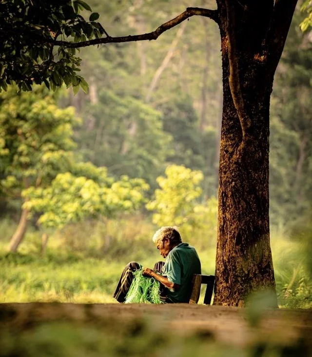 Where is the village, the elder and the tree? - Life’s biggest questions