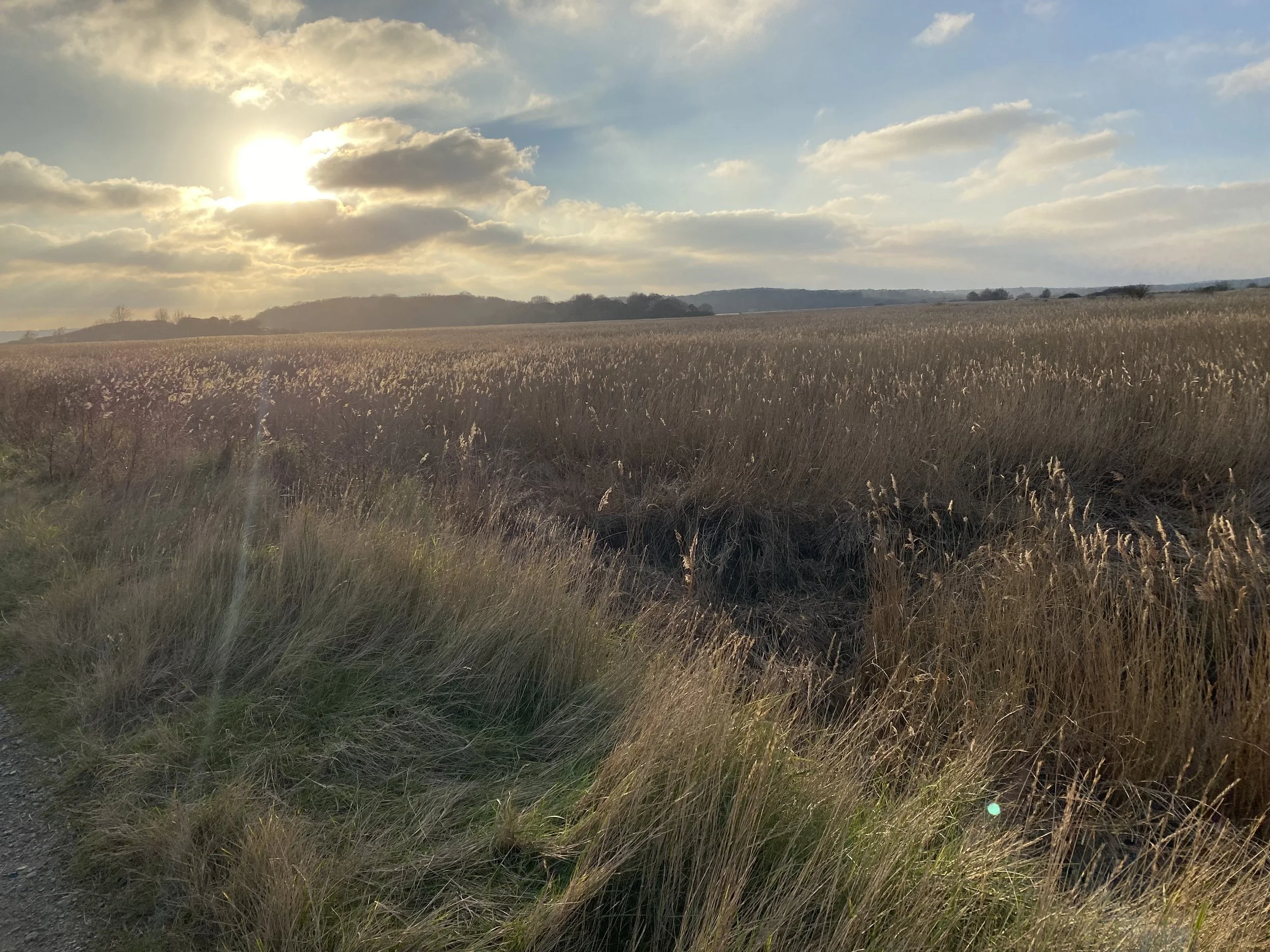 Good Grief – the vital benefits of grief work
