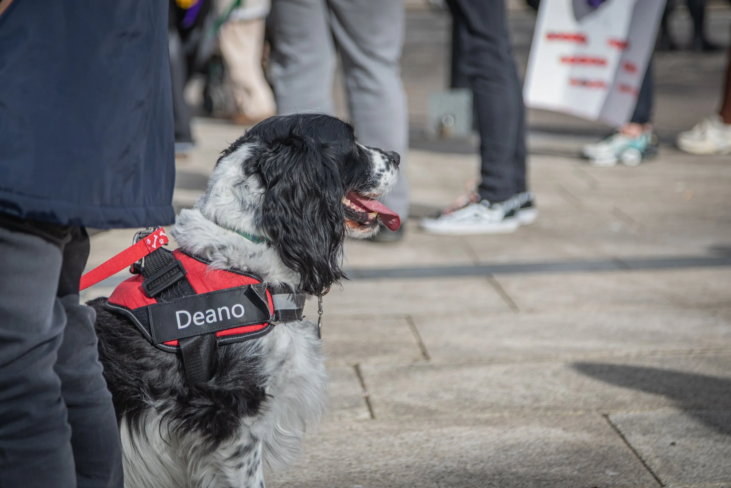 Nicola McKee Photography - IWD Reclaim the Agenda 2026-163.jpg