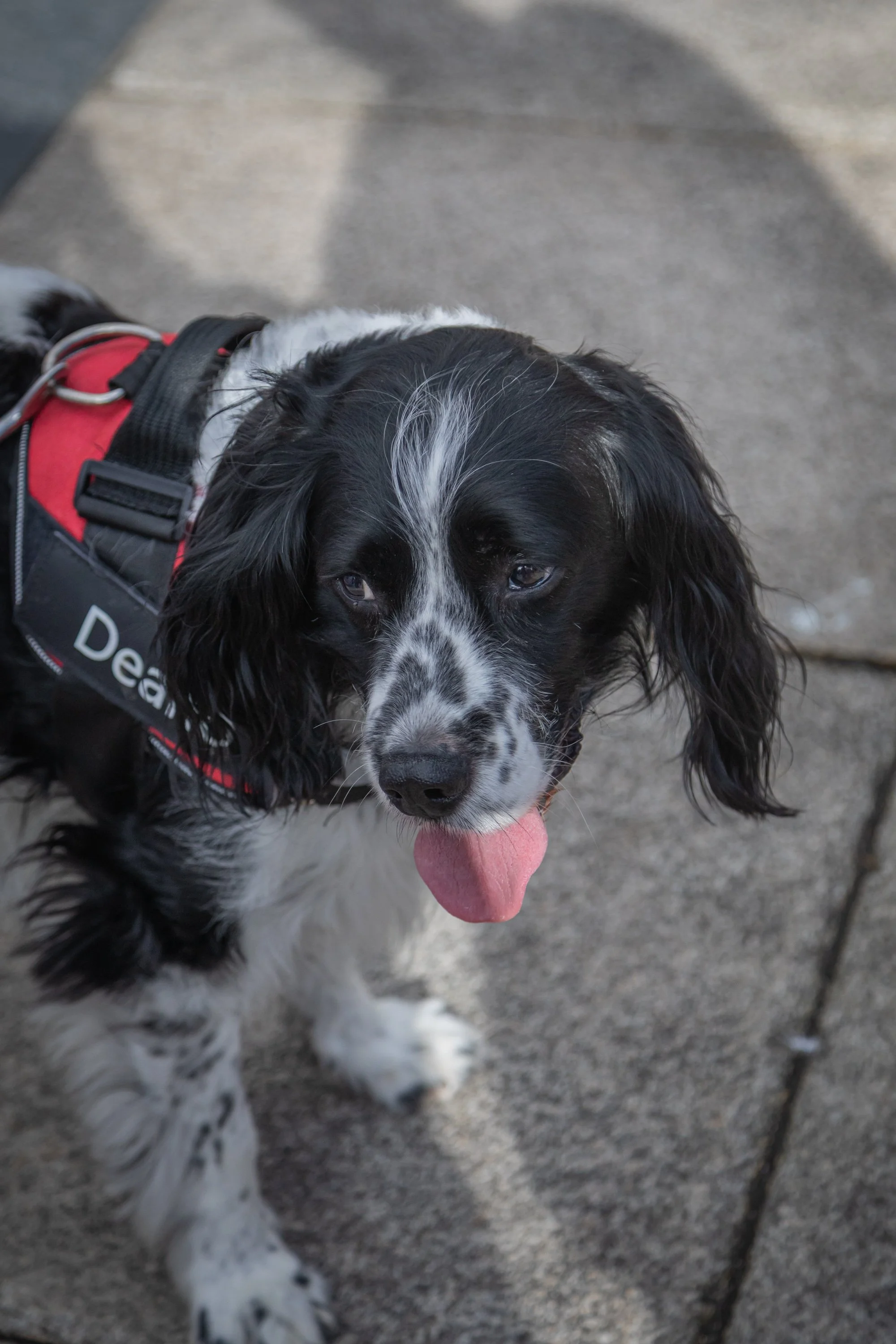 Nicola McKee Photography - IWD Reclaim the Agenda 2026-164.jpg