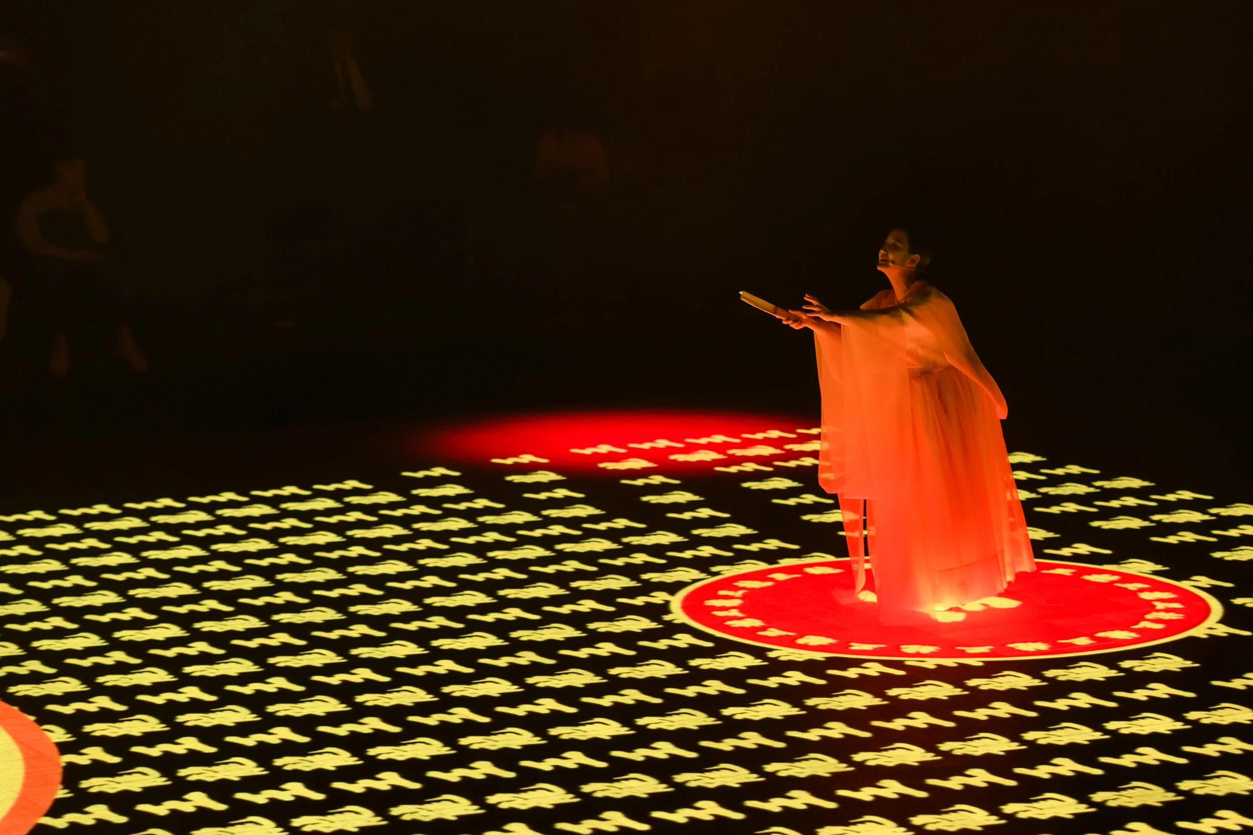 Performer in flowing costume with dramatic lighting and projected patterns on stage.