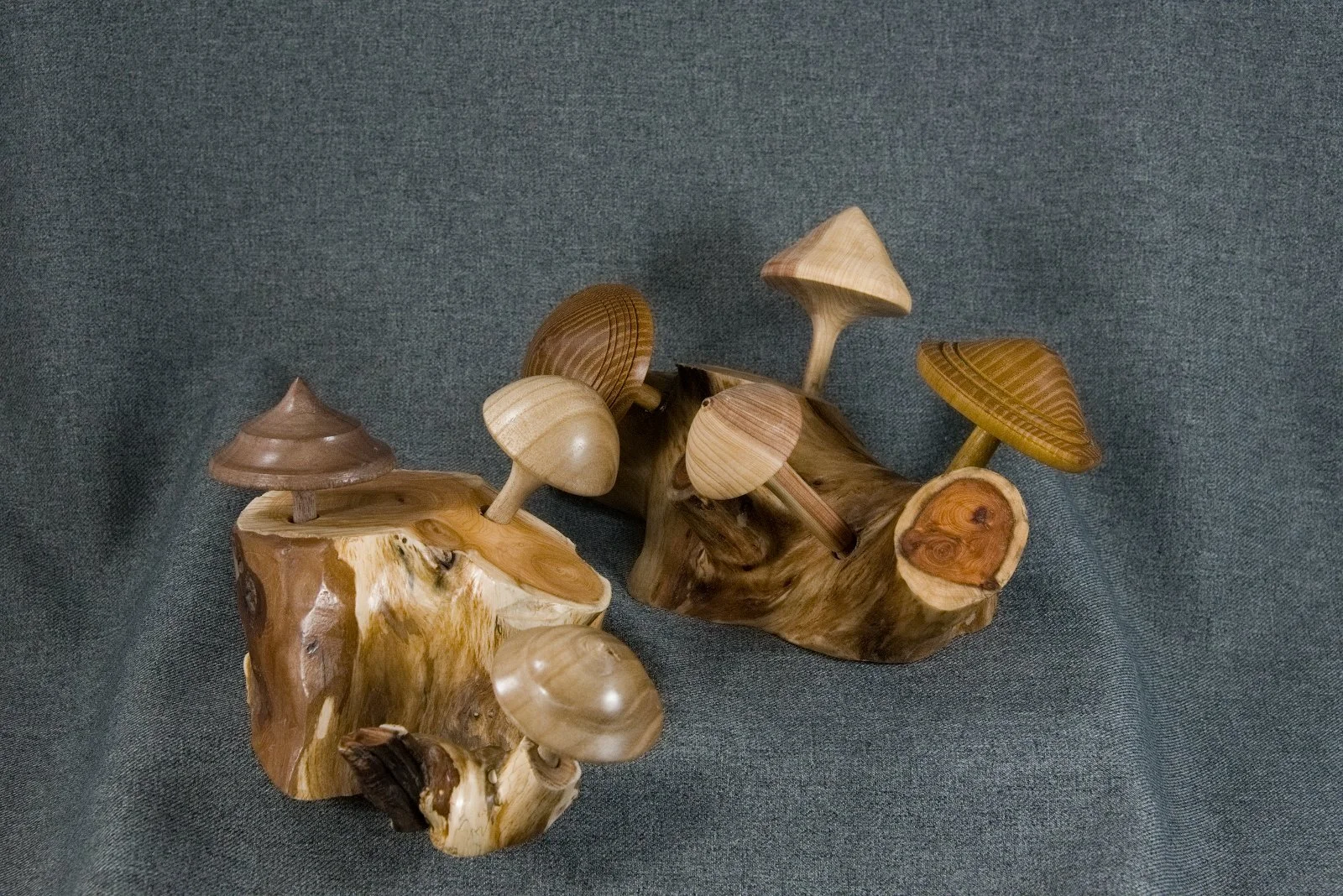 9600_040419.jpg