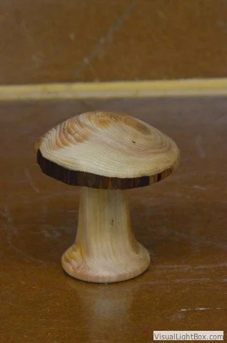 d7k_1511.jpg