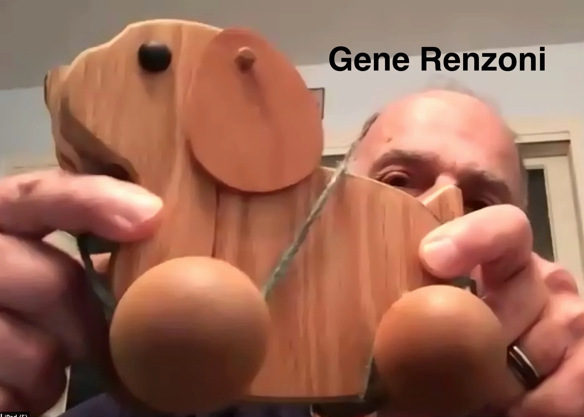 Screen Shot 2020-11-05 at 7.49.19 PM.jpg