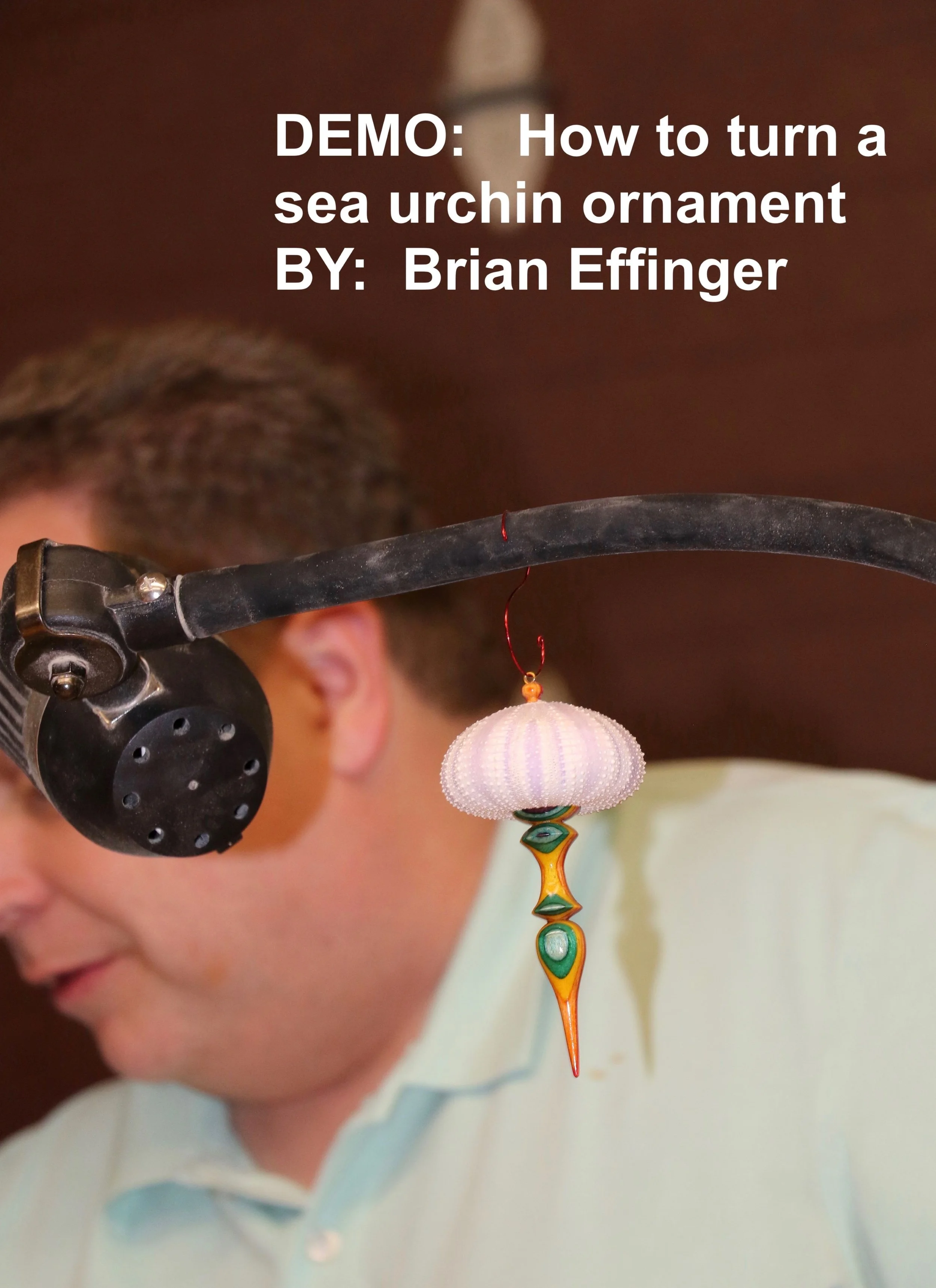 202505_WT1_BrianEffinger_UrchinOrnamentDemo01.jpg