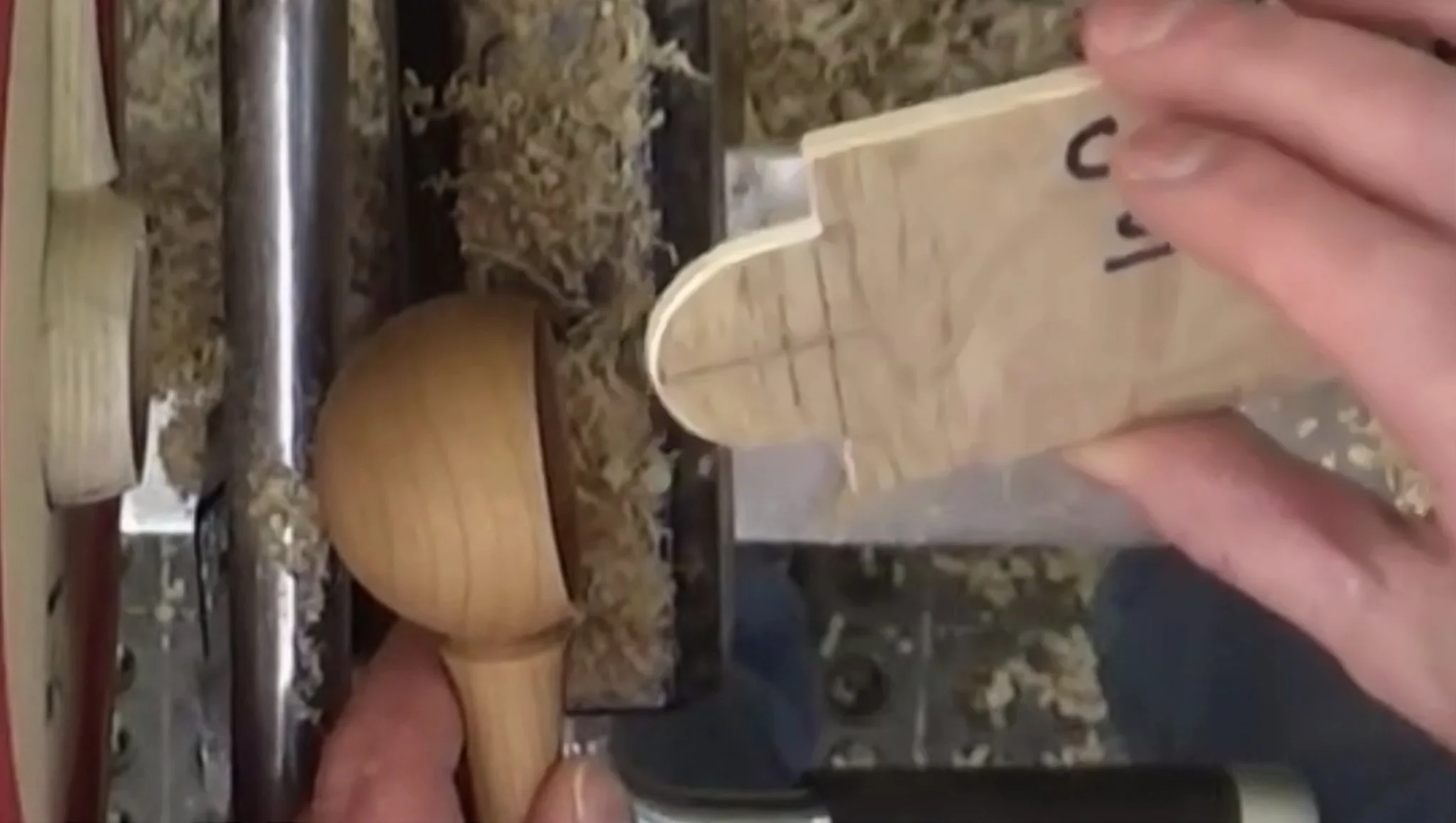 Screen Shot 2021-11-04 at 8.27.50PM.jpg