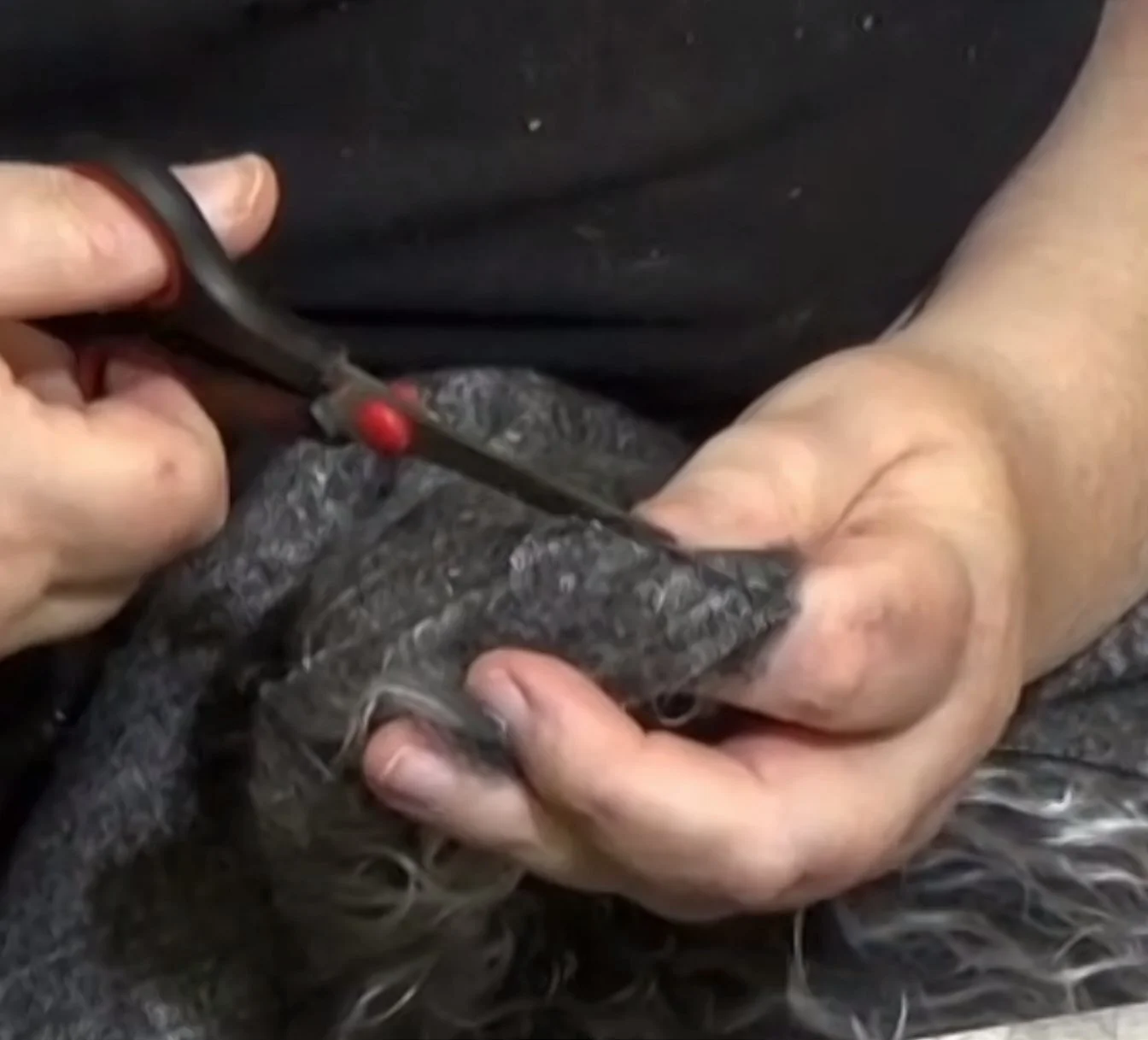 Screen Shot 2021-07-01 at 9.06.21 PM.jpg