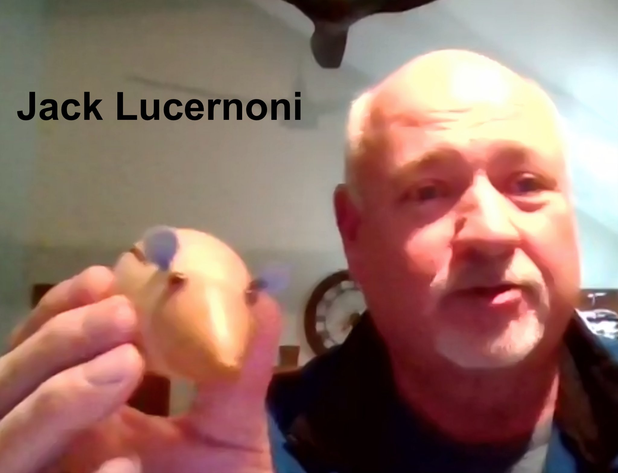 Screen Shot 2022-02-03 at 7.42.20 PM.jpg