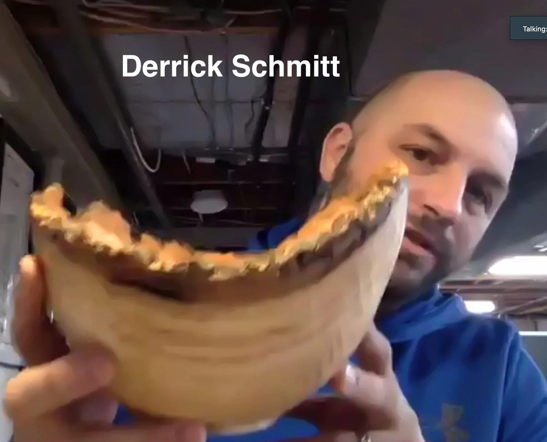 Screen Shot 2021-02-04 at 7.30.20 PM.jpg