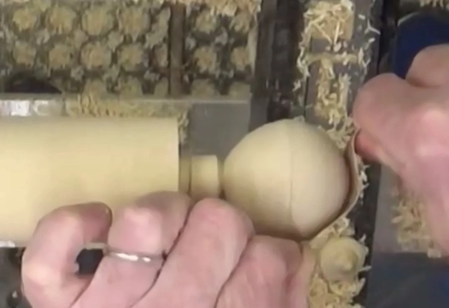 Screen Shot 2021-11-04 at 8.00.59 PM.jpg