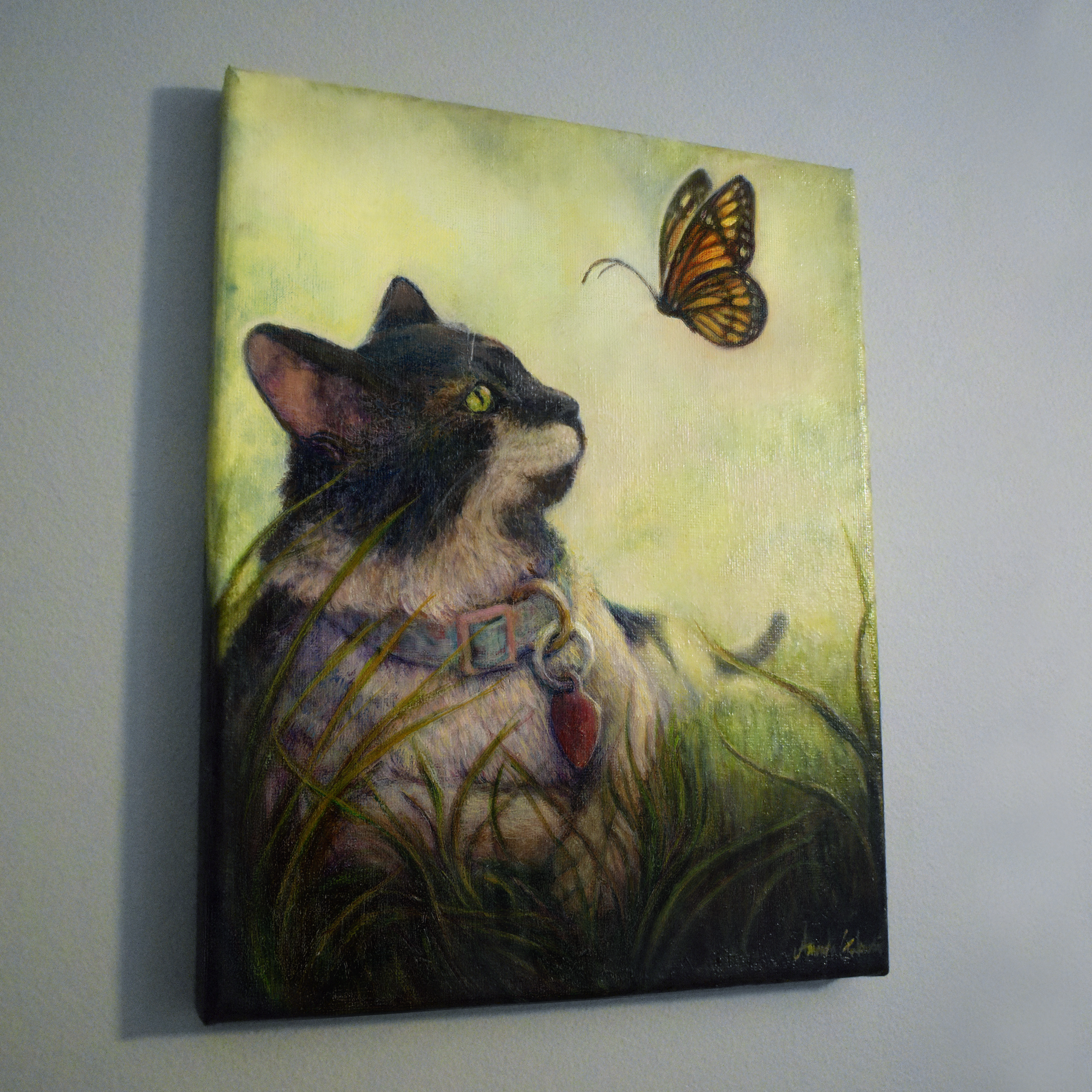 cat angle 2.png