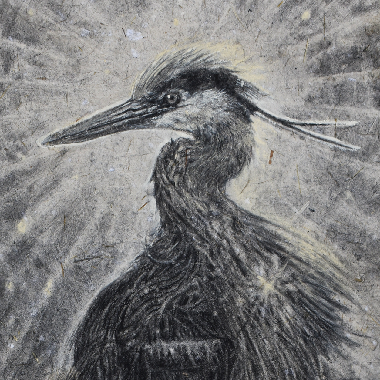 Mother of the Marsh
