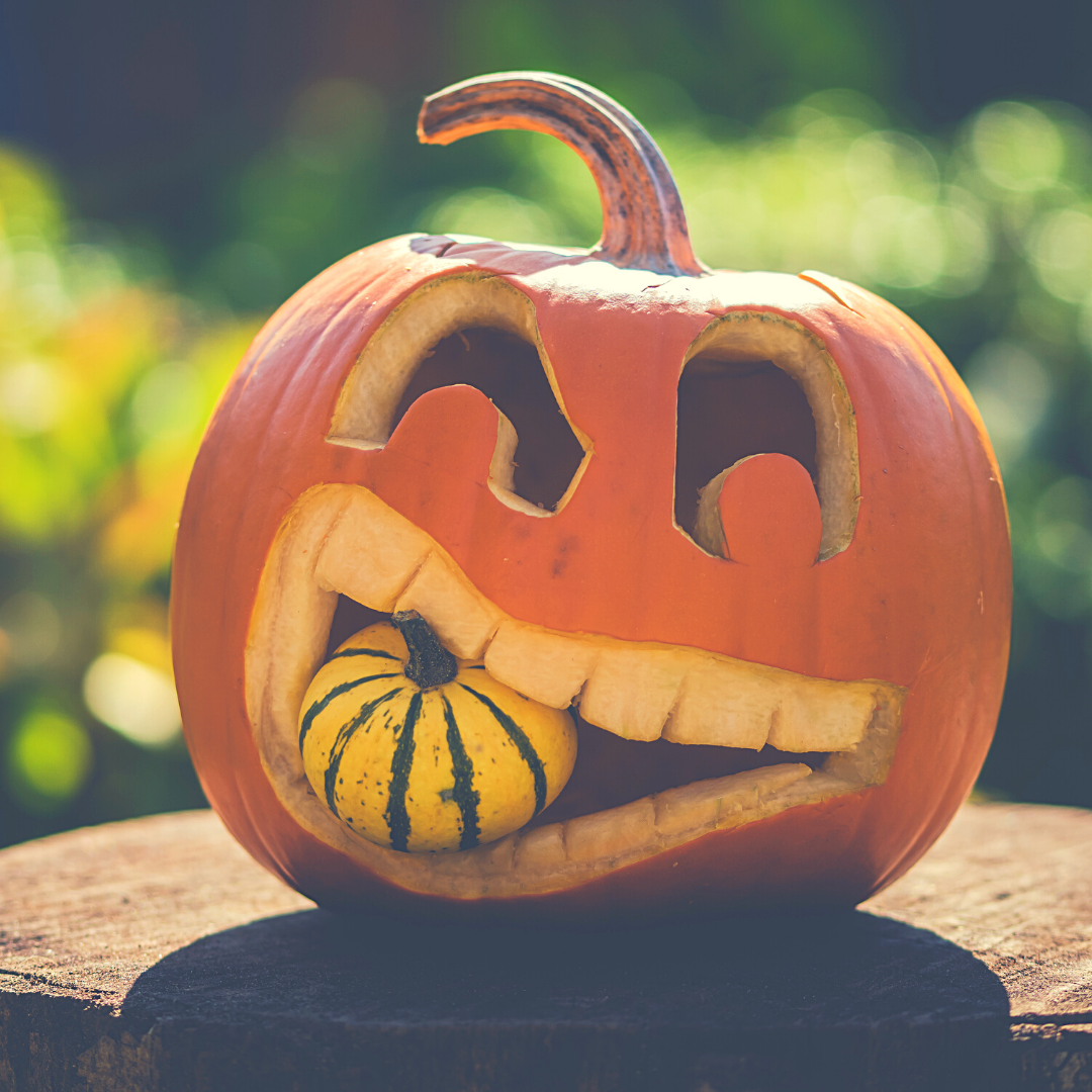 The Mega Halloween round-up: What to do in October that’s safe and fun!