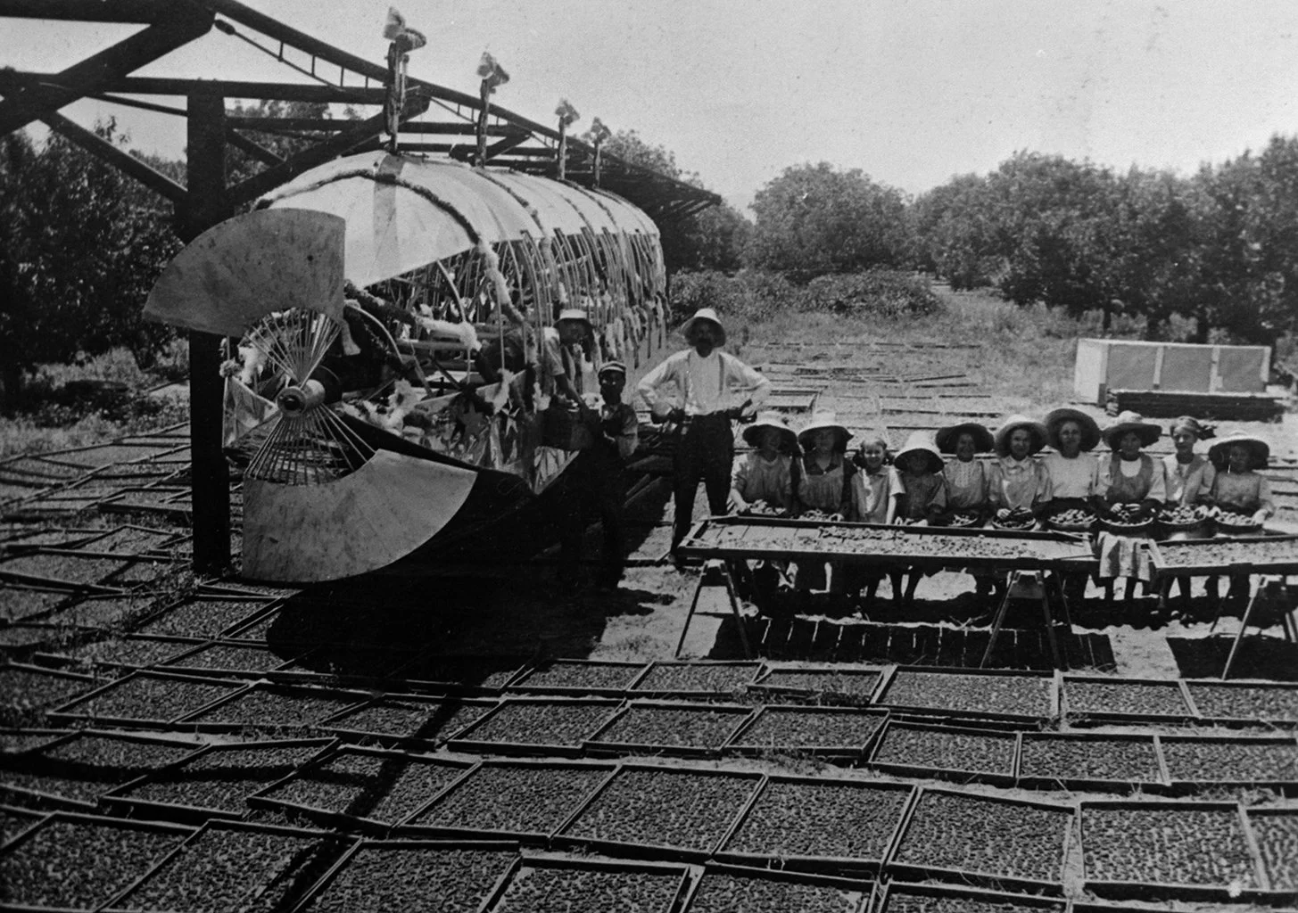 Fawkes Trolley 3.jpg