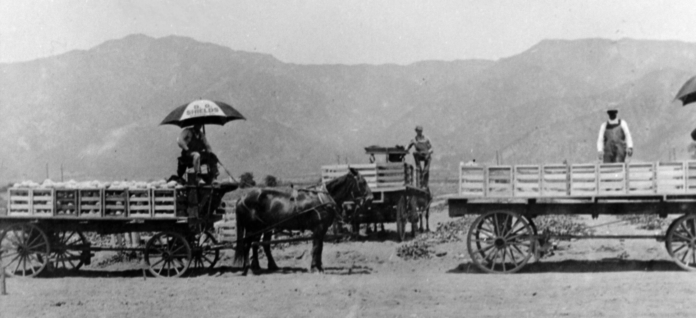 The Juicy History of How the Cantaloupe Saved a Southern California Icon