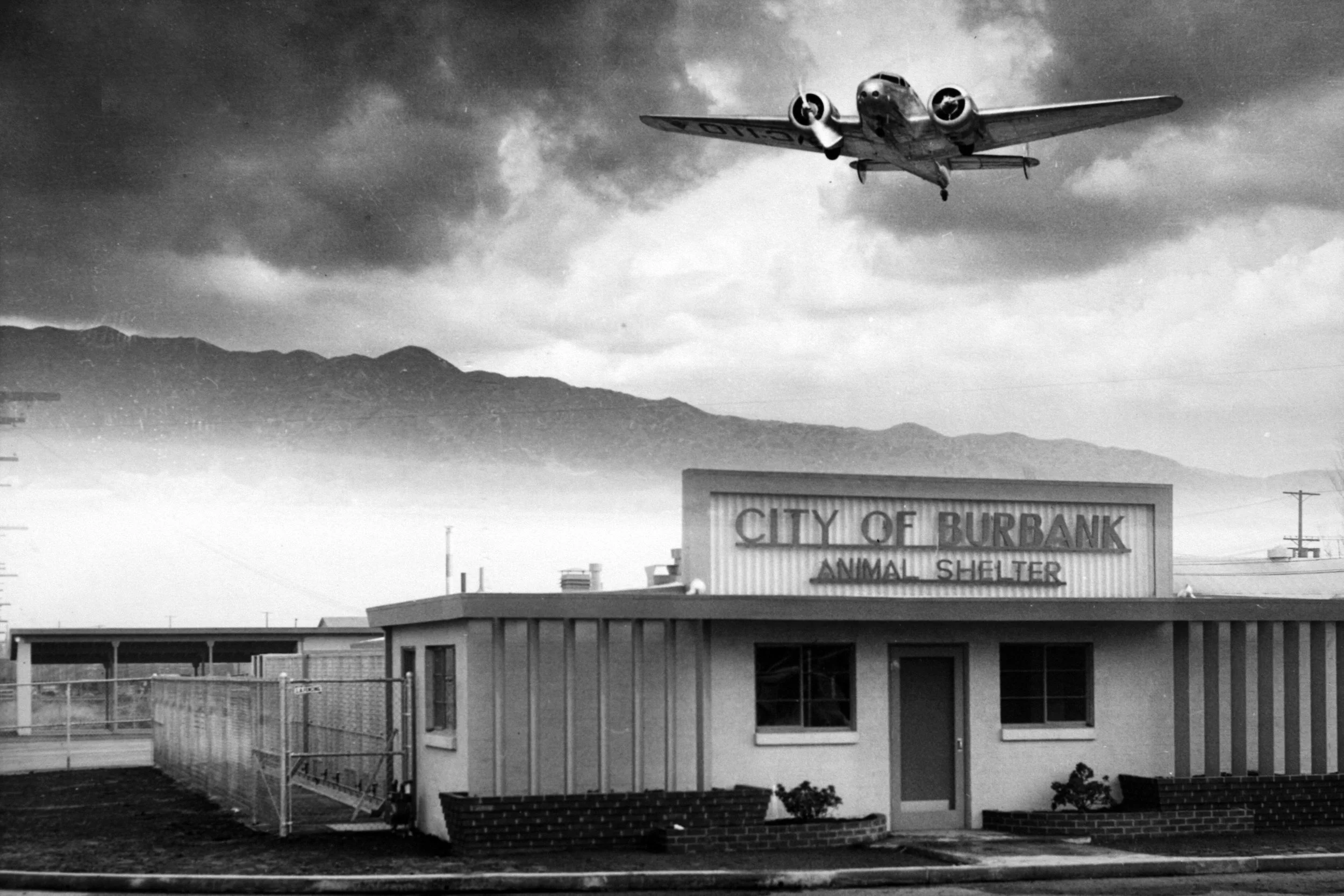 Animal Shelter.003.jpg