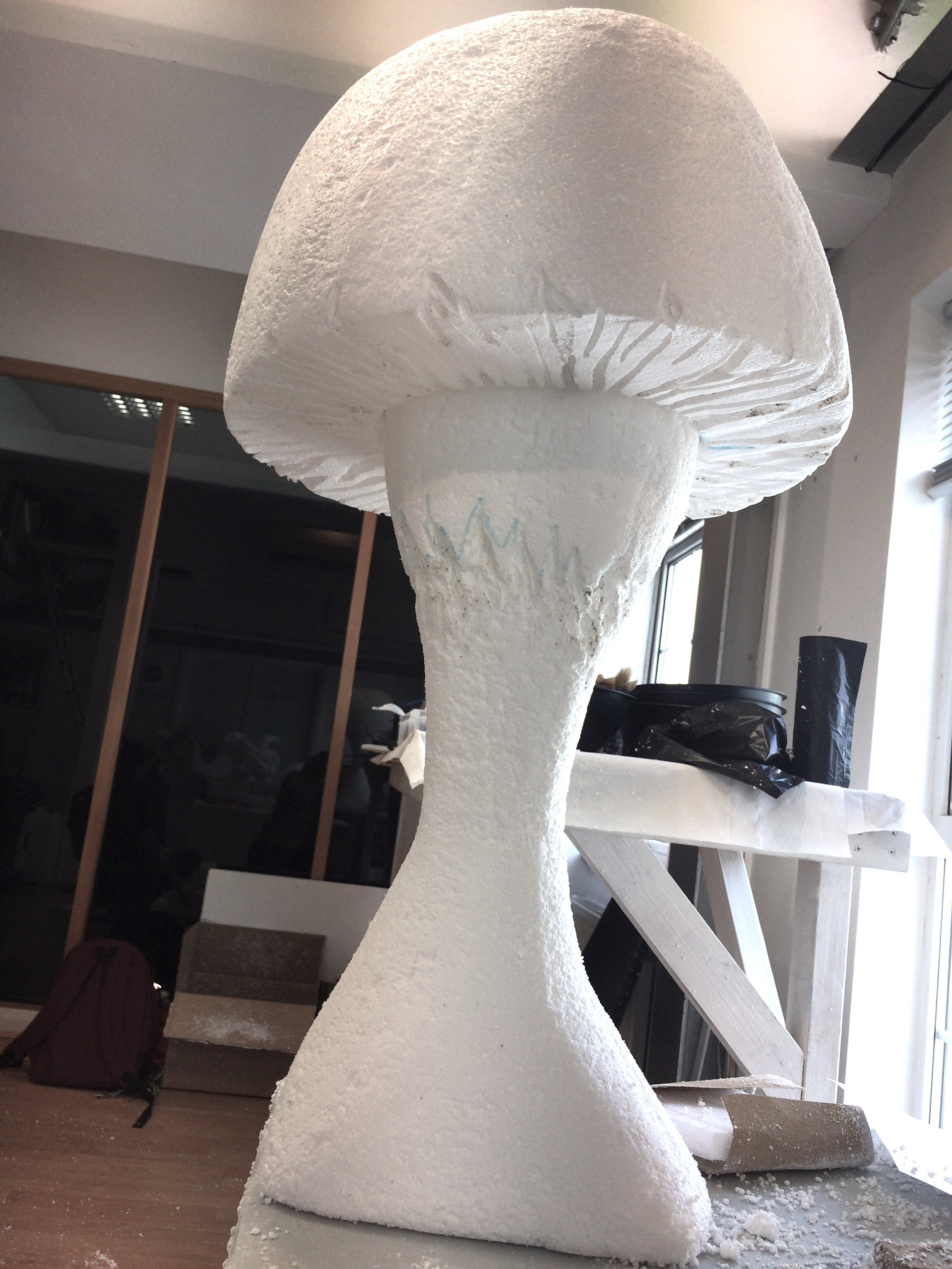 Mushroom 13.JPG