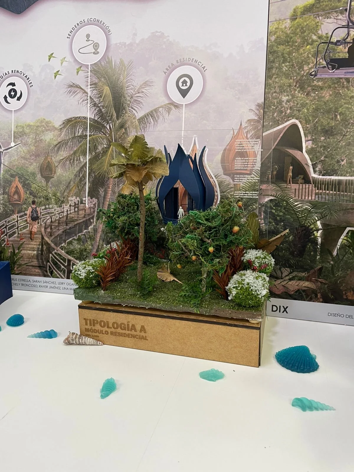 Imagen de WhatsApp 2025-08-05 a las 19.22.02_b632a18e.jpg