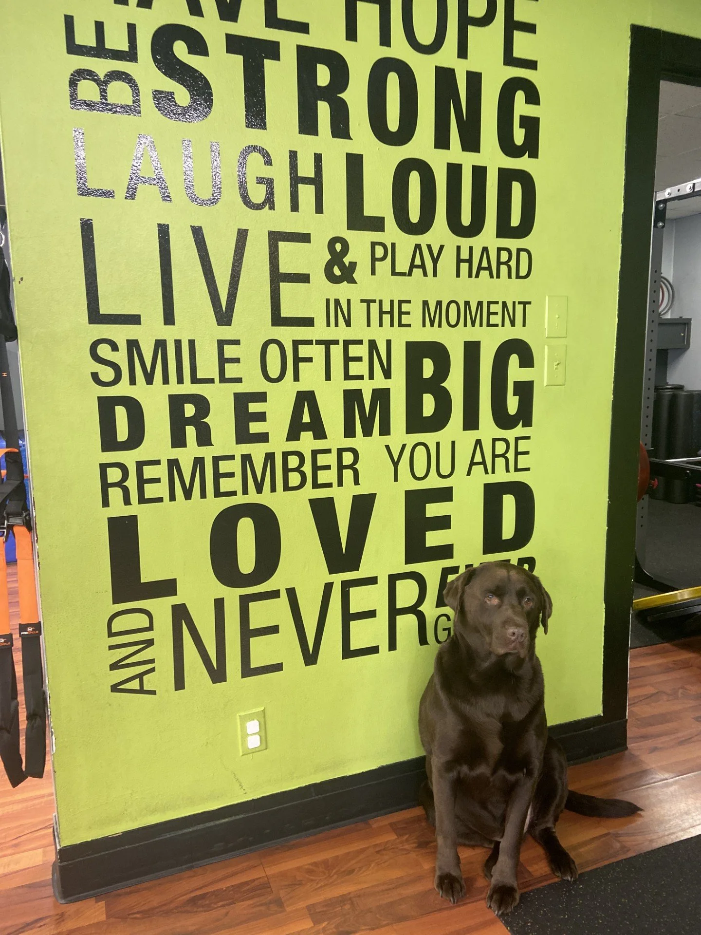 client appreciation month