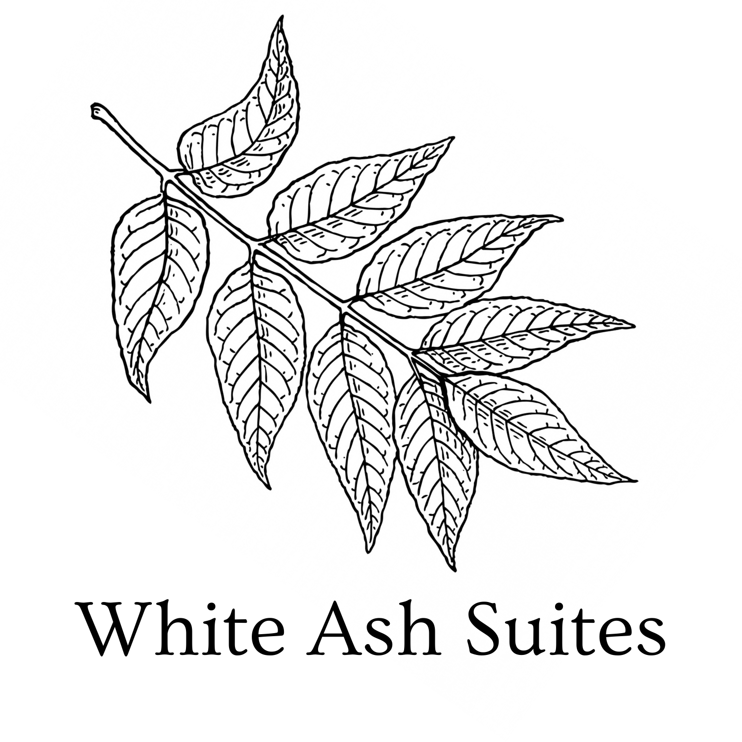 White Ash Suites