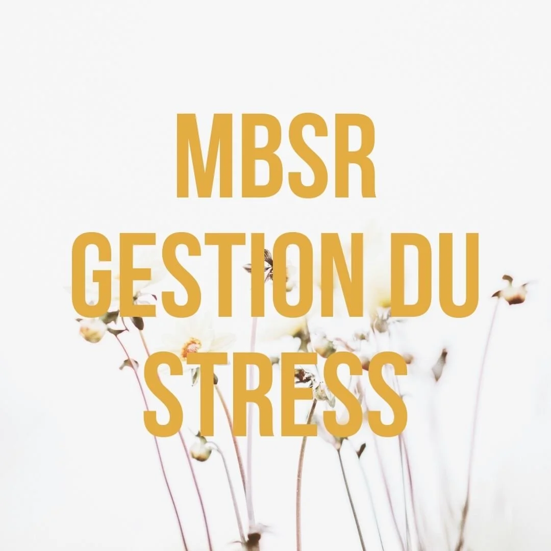 Programme de gestion du stress basé sur la pleine conscience (MBSR)