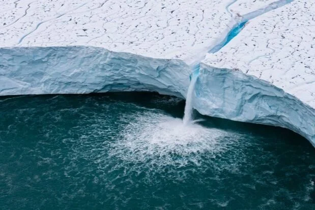 Legacy, un magnifique et bouleversant cri du coeur