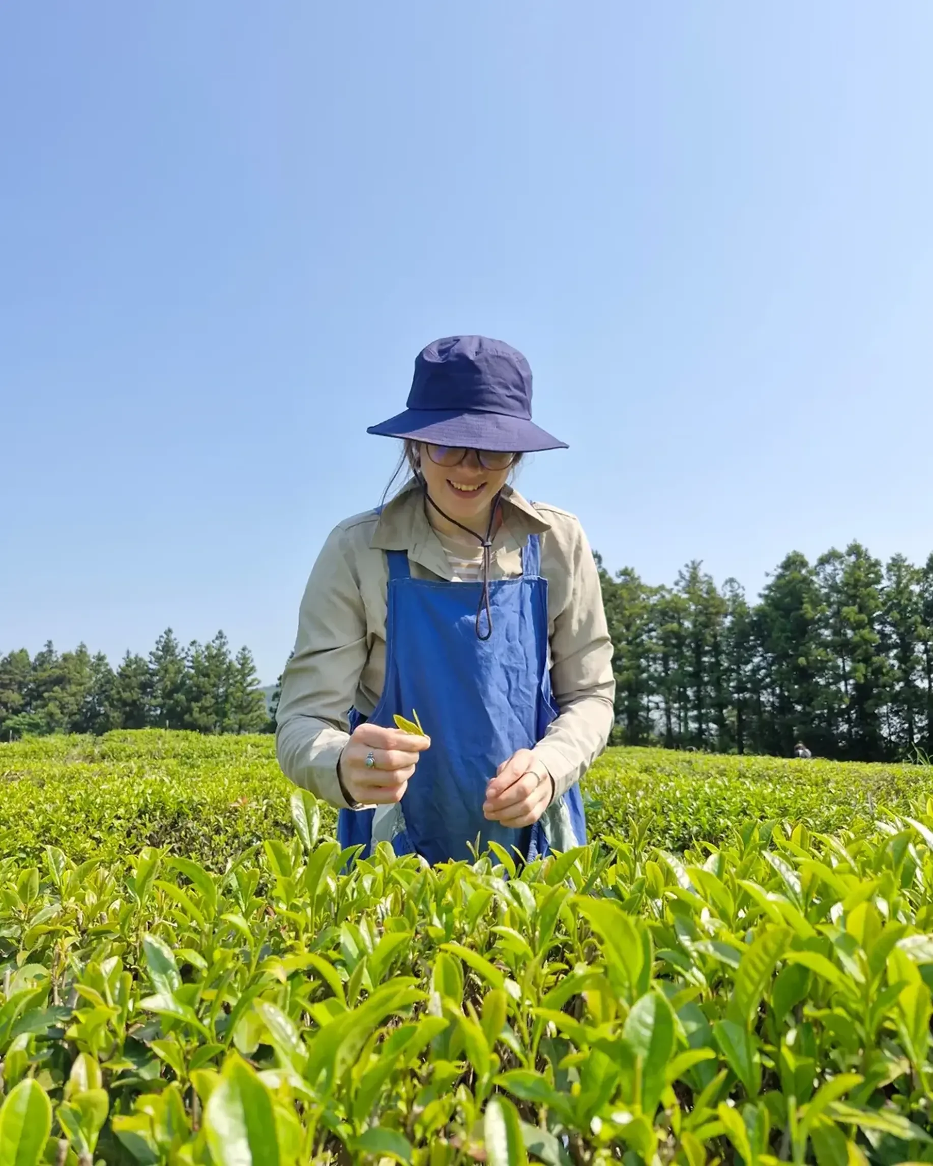Wild Orchard Farmer.webp