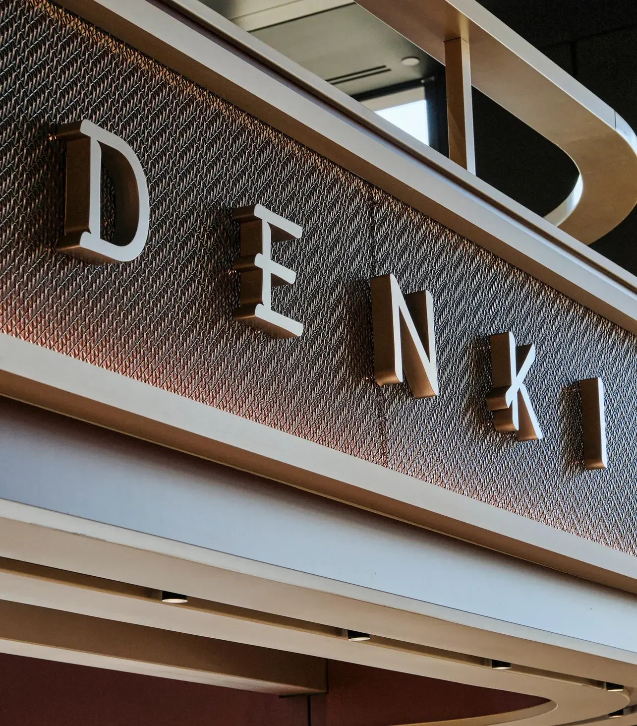 Chase_Denki_closeup.webp