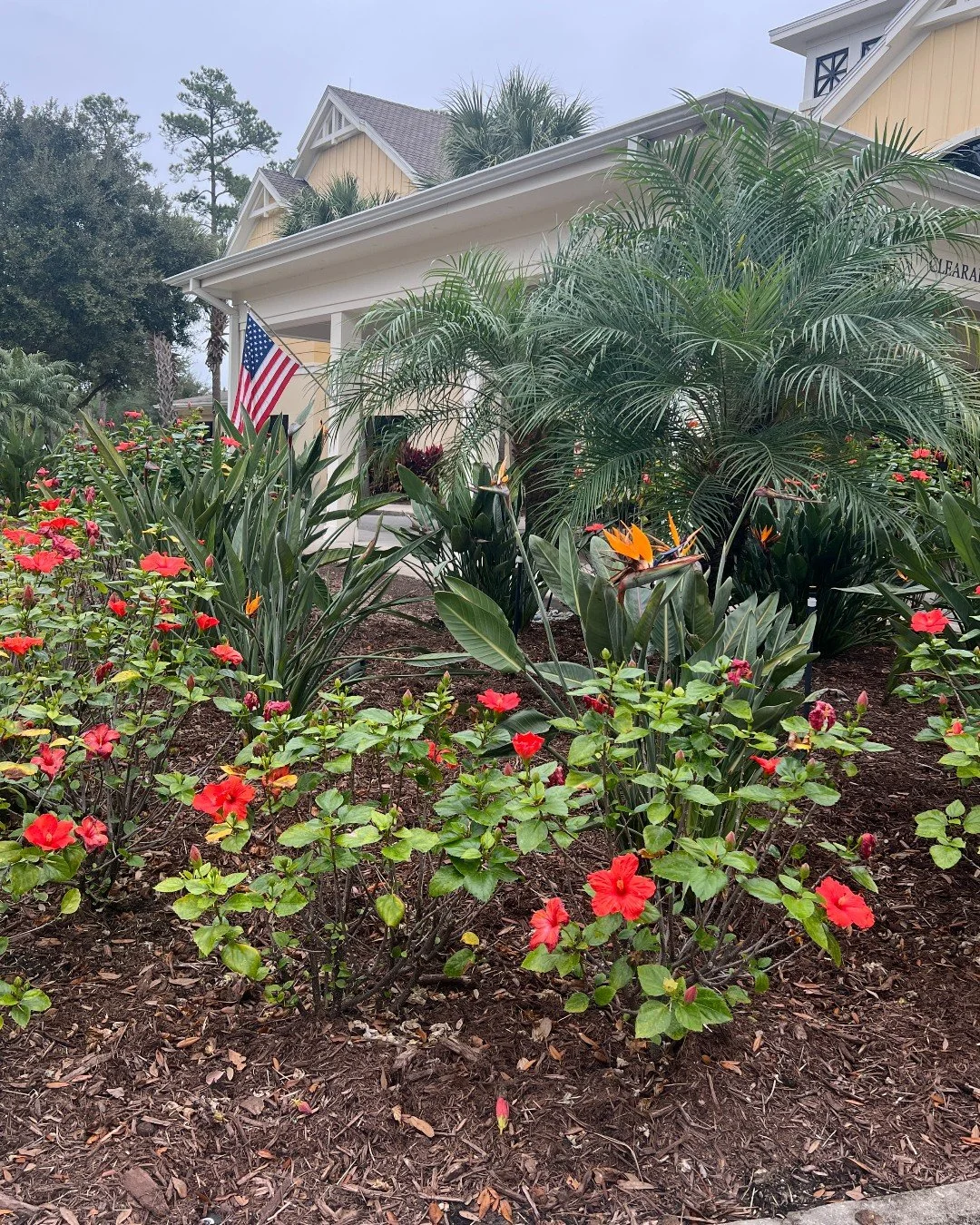 Spring is in full bloom! 🌸 Fresh flowers and a renewed sense of energy make the perfect way to welcome the new season. We&rsquo;re so grateful for everyone at Gabriel House who makes this community so special.
