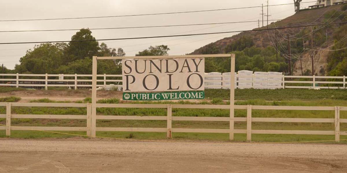 polo-sundaypolo.jpg