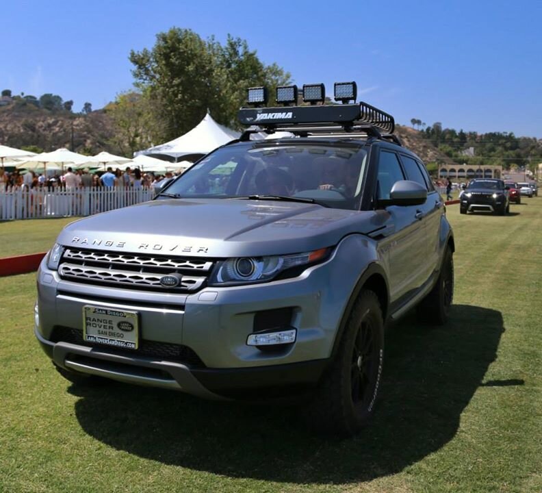 rover.jpeg