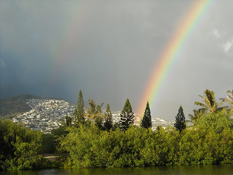 Rainbows-in-Waikiki.jpg