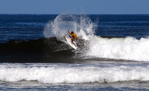 Hawaiian-Surfer-500.jpg