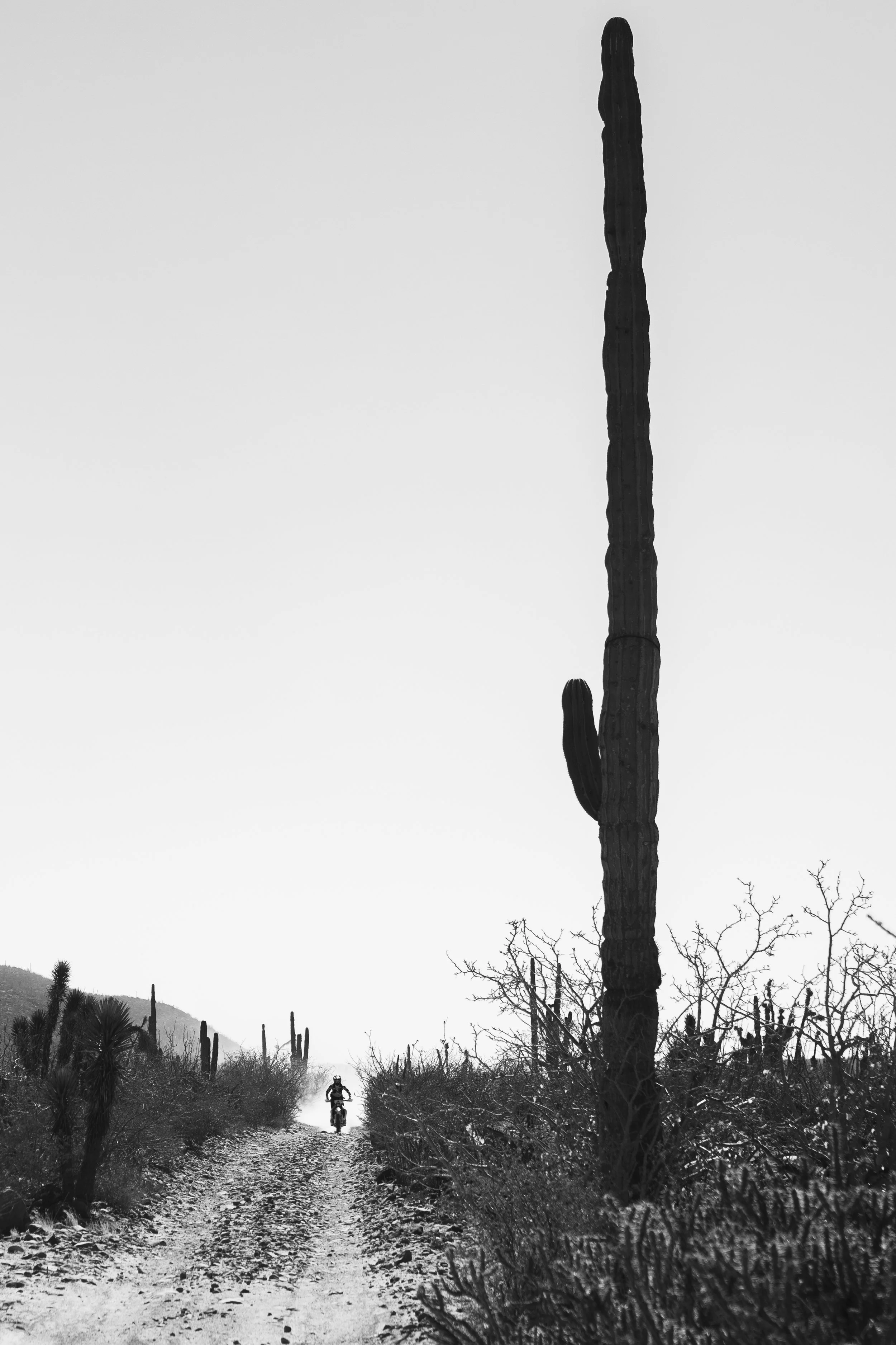 Baja1000_20231109_@Brett_Dickinson_@NickLapaglia-011.jpg