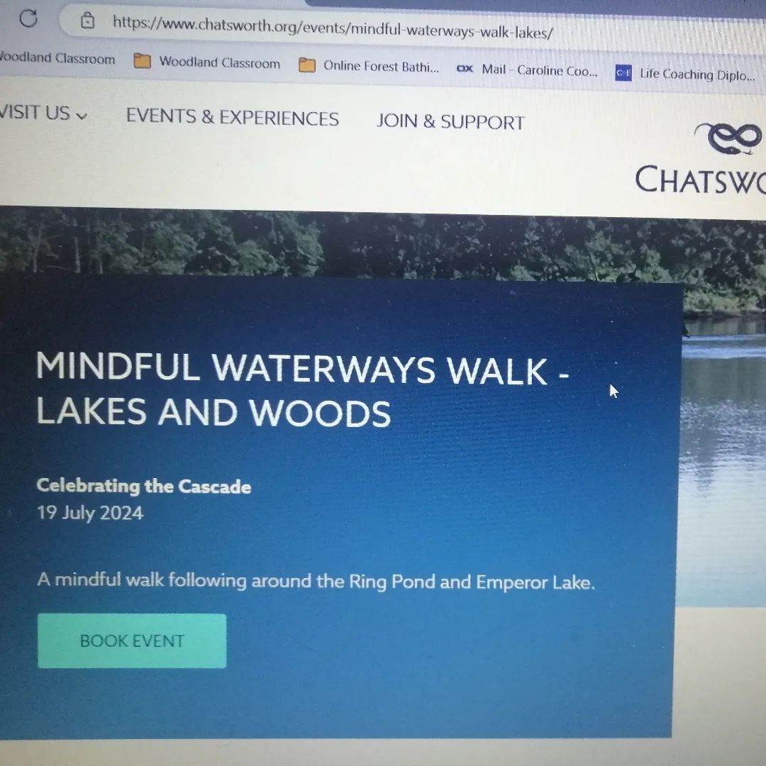 Book now to join me Well With Nature at Chatsworth on Friday 19 July 10am for our first of three Mindful Waterways walks. We begin up at the lakes above Chatsworth. Https://www.chstsworth.org/events/mindful-waterways-walk-lakes/. #chatsworth #mindful