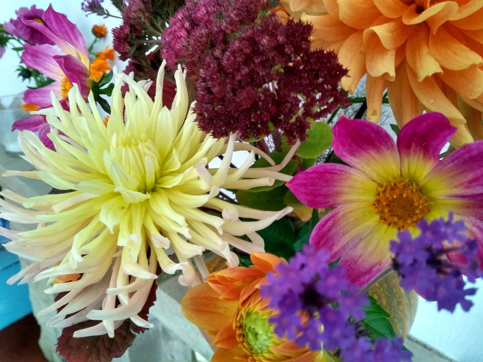 Photo of autumn flowers.jpg