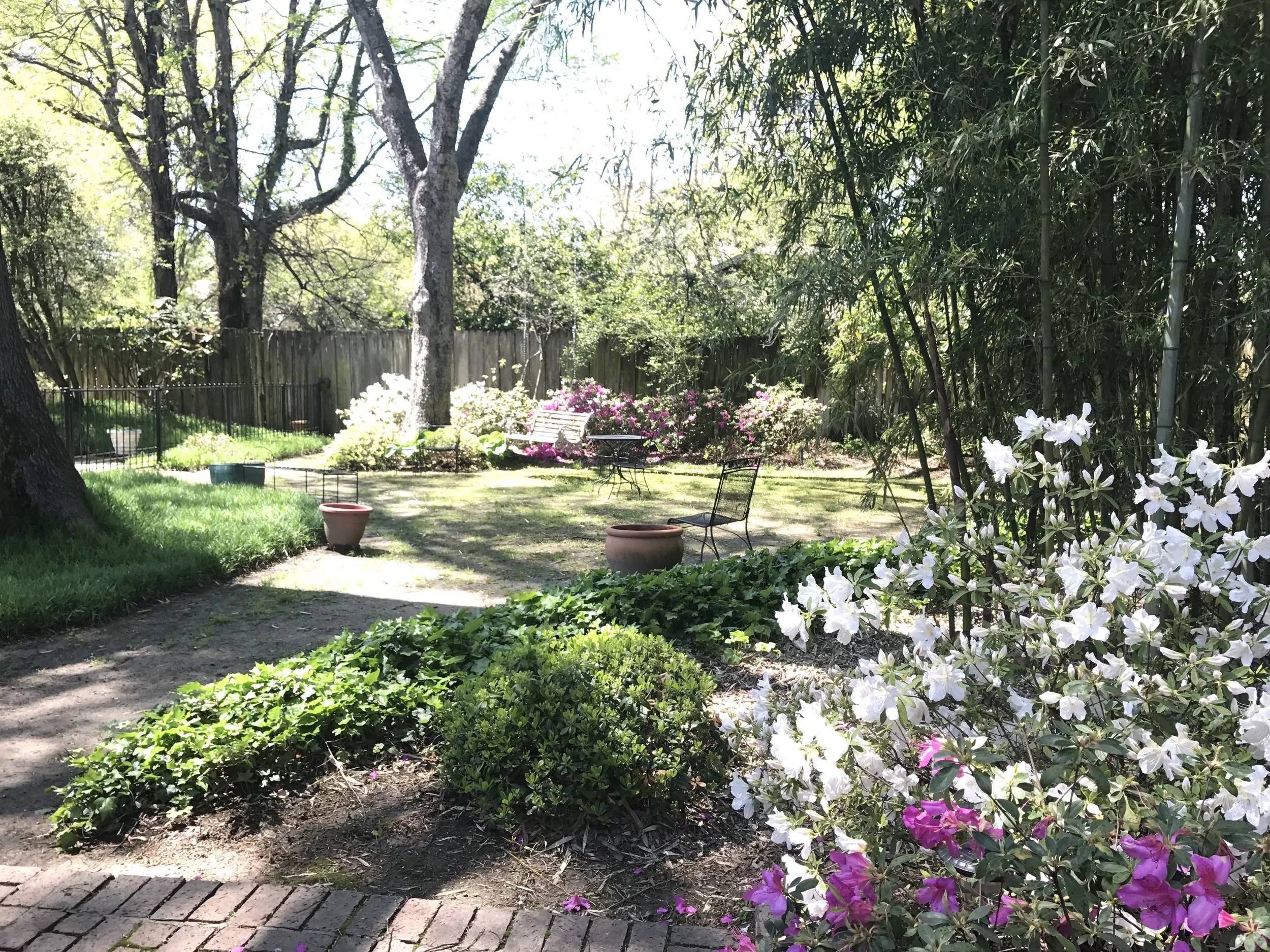 204SPearman_spring1.jpg