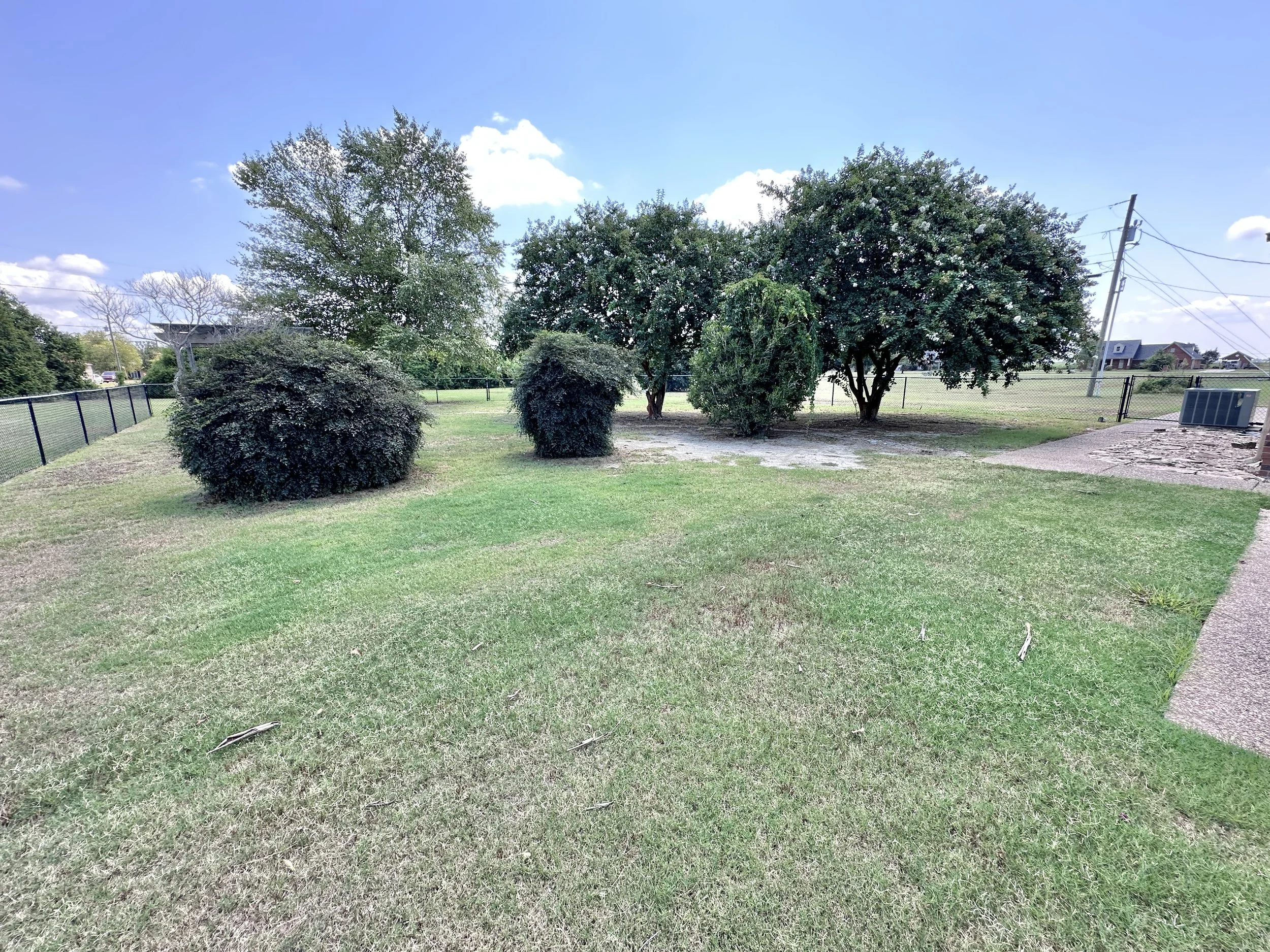 IMG_5326.jpeg